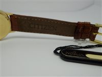 Watch Noblia Woman in Steel yellow gold plated SZ2172-11A - SZ2172-11A